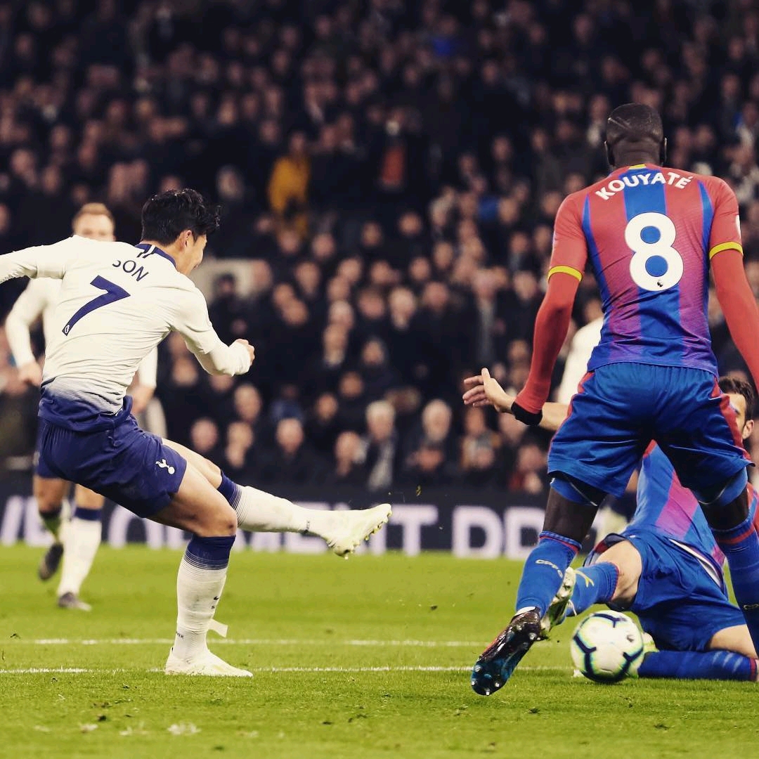 在他的职业 在他的职业